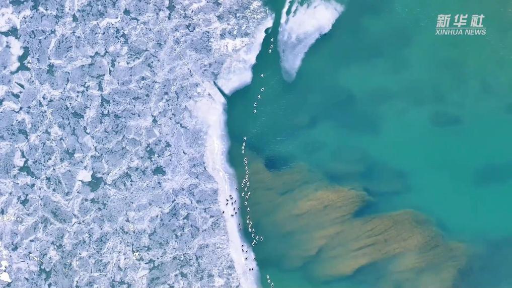 世界水日·黄河首尾对话|源头回响:千湖梦归来