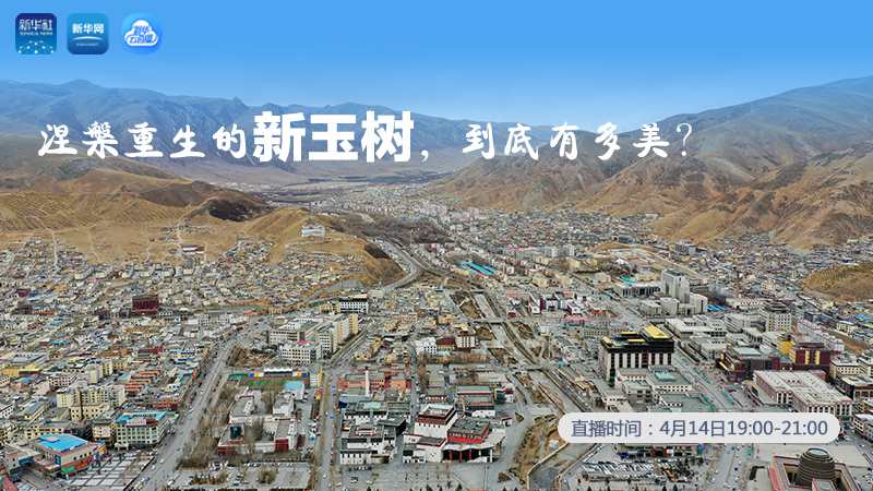 涅槃重生的新玉樹(shù)，到底有多美？