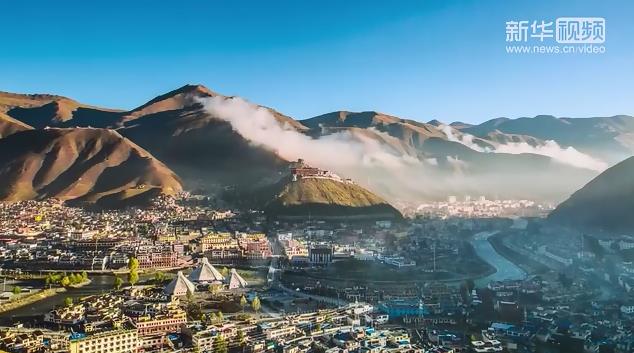 衛(wèi)星新聞丨玉樹大&ldquo;樹&rdquo;據(jù)