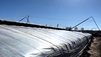 新鮮！青藏高原長出&ldquo;熱帶水果&rdquo;