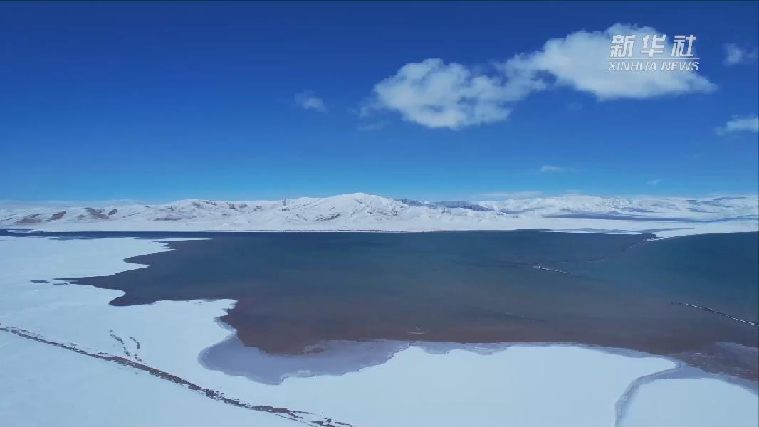 青?，敹啵憾喾N珍稀野生動(dòng)物亮相黃河源頭