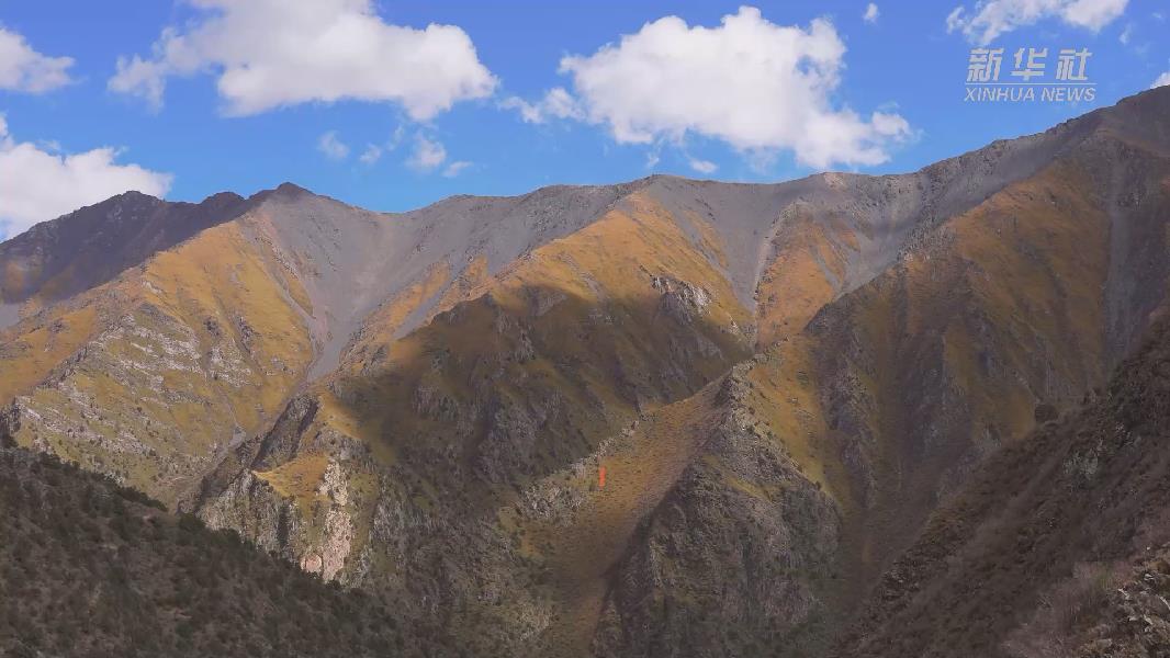 4362張照片！他們?cè)谶@里堅(jiān)持10年開(kāi)展雪豹種群動(dòng)態(tài)研究